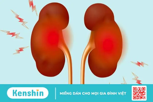 15 tác dụng của đậu đỏ đối với sức khoẻ và làm đẹp có thể bạn chưa biết!