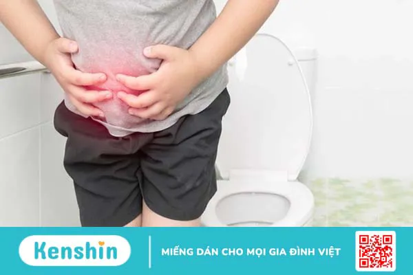 15 tác dụng của quả sung đối với sức khoẻ có thể bạn chưa biết