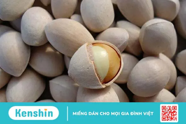 15 tác dụng của thuốc bổ não Ginkgo Biloba và những lưu ý khi sử dụng