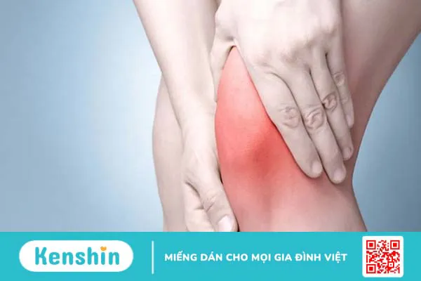 15 tác dụng của thuốc bổ não Ginkgo Biloba và những lưu ý khi sử dụng