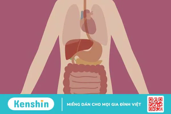 15 tác dụng phụ của xạ trị thường gặp ở bệnh nhân ung thư