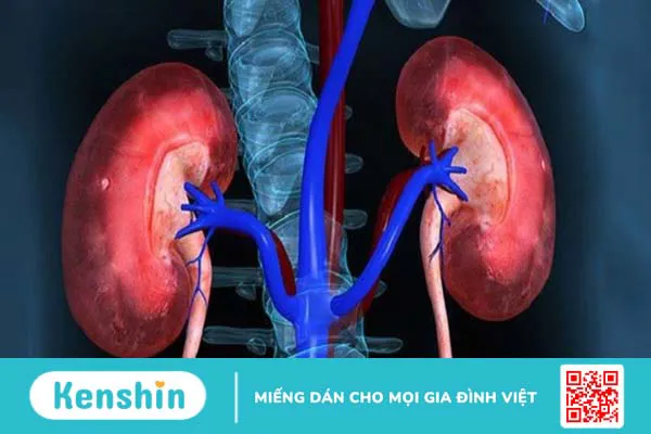 15 tác dụng phụ của xạ trị thường gặp ở bệnh nhân ung thư