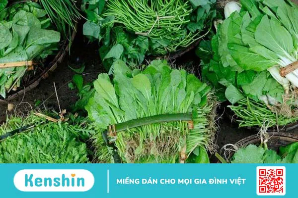 15 thực phẩm giúp tăng chiều cao tốt nhất và lưu ý khi tăng chiều cao