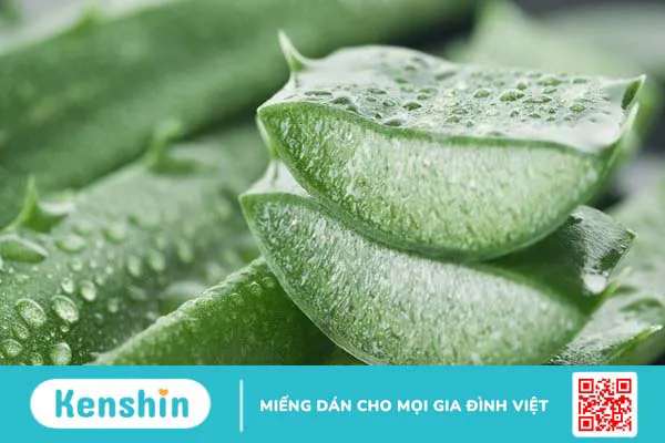 16 cách trị ghẻ ngứa tại nhà đơn giản, hiệu quả, an toàn