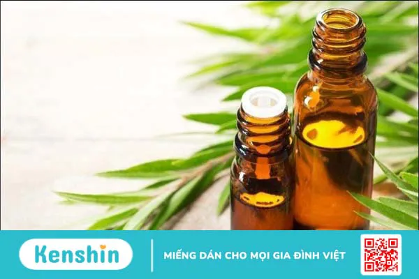 16 cách trị ghẻ ngứa tại nhà đơn giản, hiệu quả, an toàn