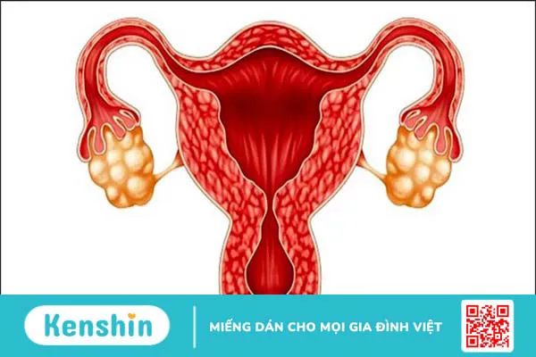 16 công dụng của đậu phộng (lạc) và các tác dụng phụ bạn nên lưu ý