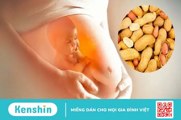 16 công dụng của đậu phộng (lạc) và các tác dụng phụ bạn nên lưu ý