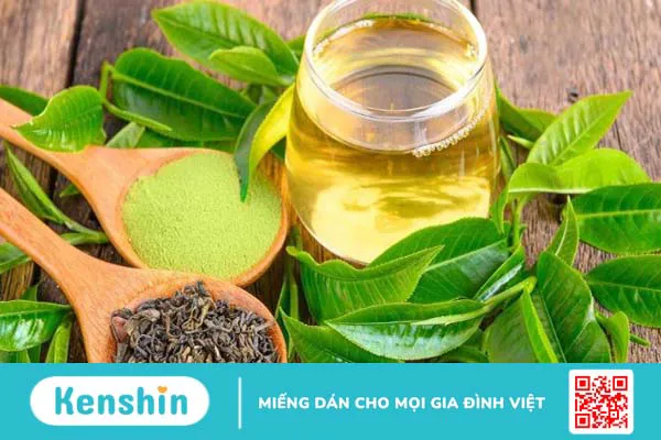 16 công dụng của trà xanh đối với sức khỏe bạn cần biết