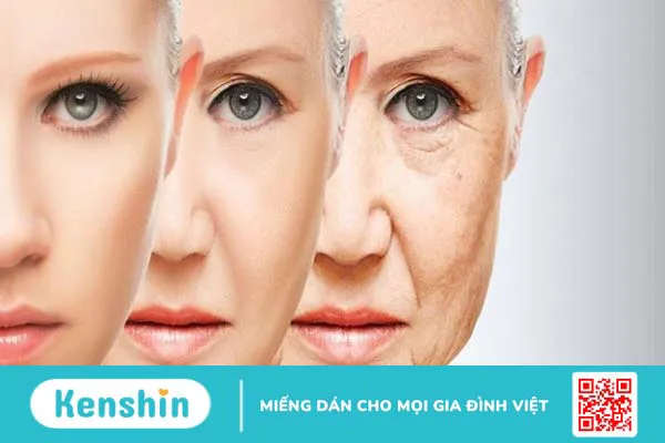 16 công dụng của vaseline trong làm đẹp và lưu ý khi sử dụng