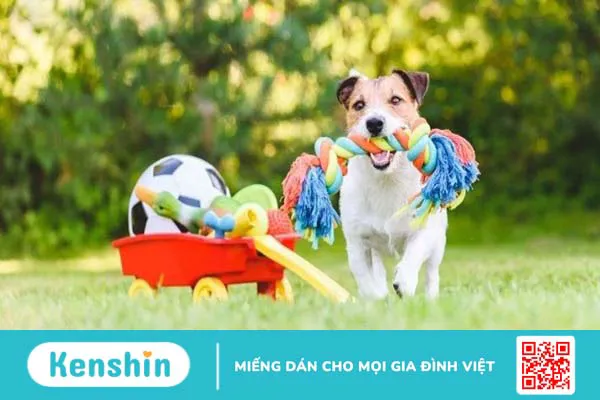 16 loại đồ vật mang mầm bệnh bạn hay chạm tay vào mỗi ngày