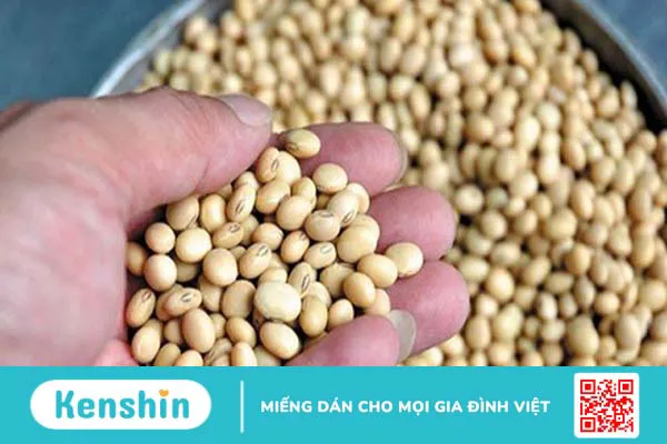 16 loại thực phẩm giảm cholesterol giúp tim bạn khỏe mạnh