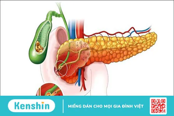 16 tác dụng của đậu phộng (lạc) đối với sức khoẻ và lưu ý sử dụng