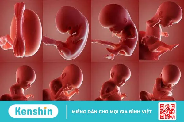 16 tác dụng của đậu phộng (lạc) đối với sức khoẻ và lưu ý sử dụng