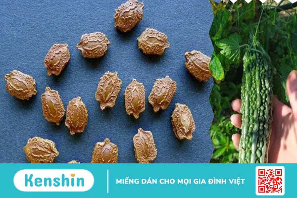 16 tác dụng của mướp đắng giúp chữa bệnh và lưu ý sử dụng