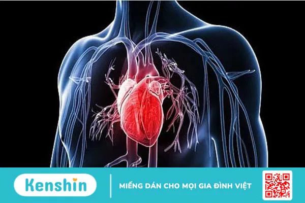 16 tác dụng của mướp đắng giúp chữa bệnh và lưu ý sử dụng