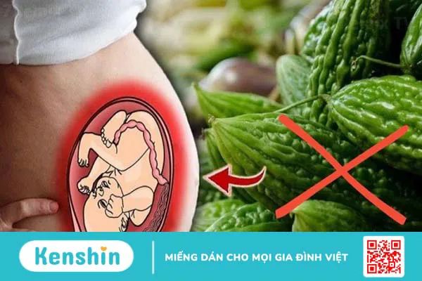 16 tác dụng của mướp đắng giúp chữa bệnh và lưu ý sử dụng