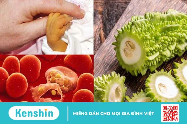 16 tác dụng của mướp đắng giúp chữa bệnh và lưu ý sử dụng