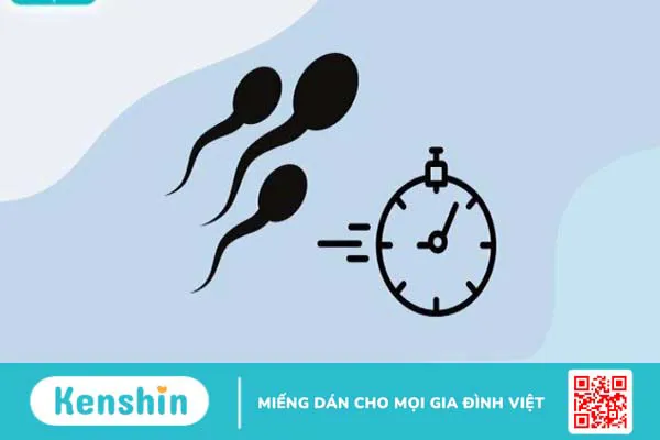 17 bài tập chống xuất tinh sớm đơn giản, cực kỳ hiệu quả tại nhà