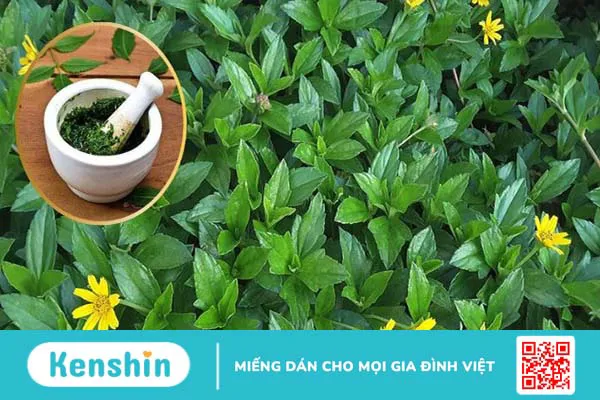 17 cách chữa viêm da cơ địa tại nhà an toàn bạn nên lưu ý ngay!