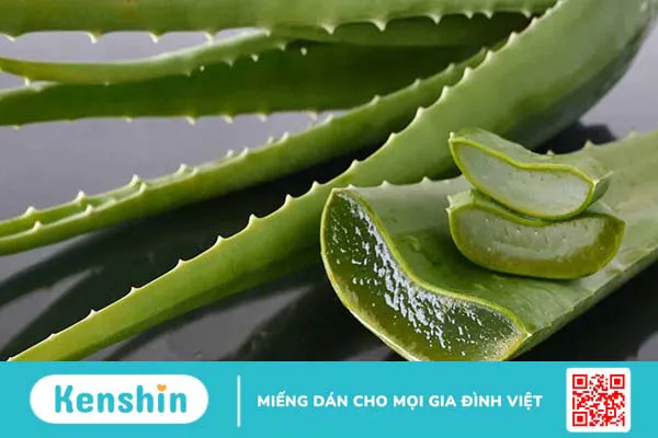 17 cách chữa viêm lợi tại nhà nhanh nhất, an toàn, hiệu quả