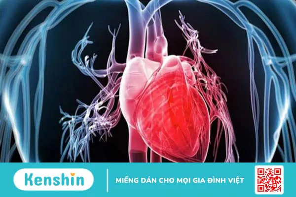 17 nguyên nhân tràn dịch màng phổi nhất định bạn cần lưu tâm