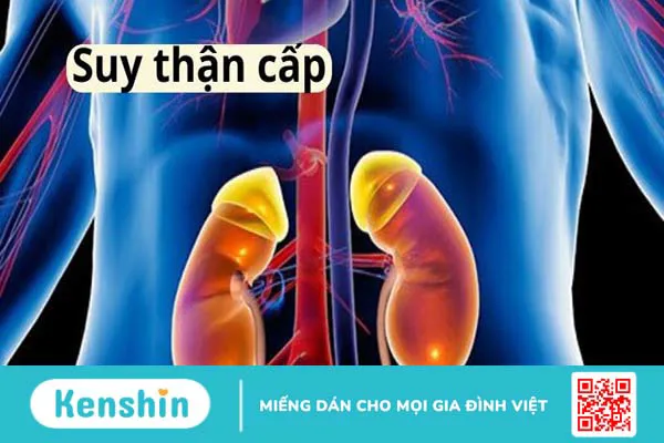 17 nguyên nhân tràn dịch màng phổi nhất định bạn cần lưu tâm