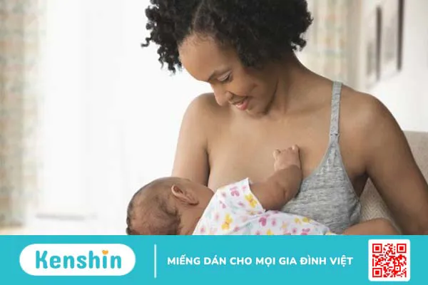 17 tác dụng của rau mồng tơi và tác hại khi dùng sai cách bạn nên biết