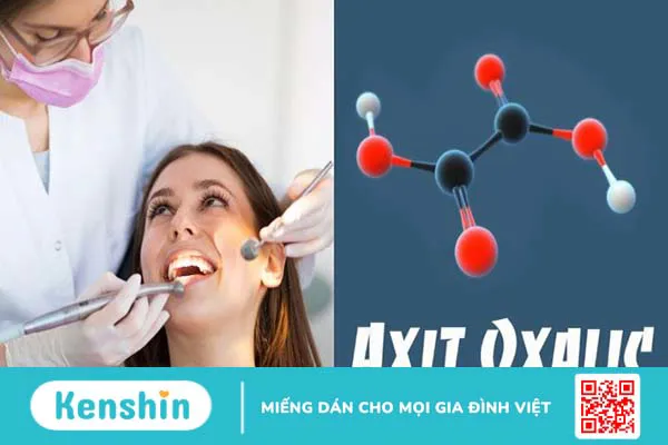 17 tác dụng của rau mồng tơi và tác hại khi dùng sai cách bạn nên biết