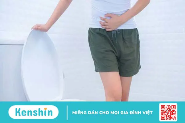 17 tác dụng của rau mồng tơi và tác hại khi dùng sai cách bạn nên biết