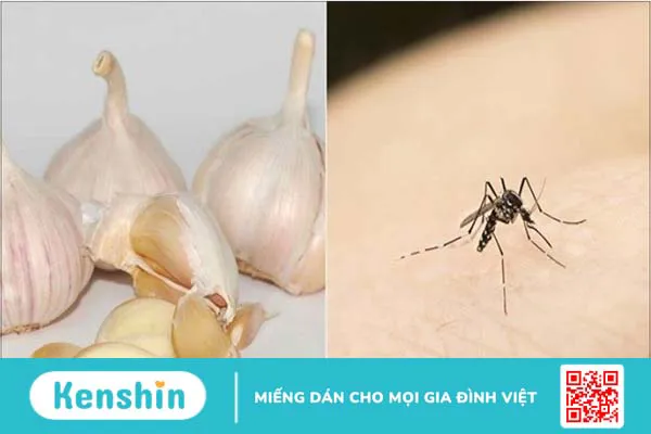 17 tác dụng của tinh dầu tỏi đối với sức khỏe bạn cần biết