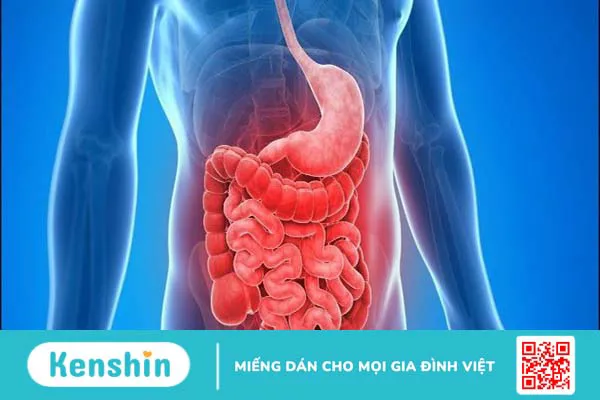 17 tác dụng của yến sào sau đây với sức khỏe có thể bạn chưa biết