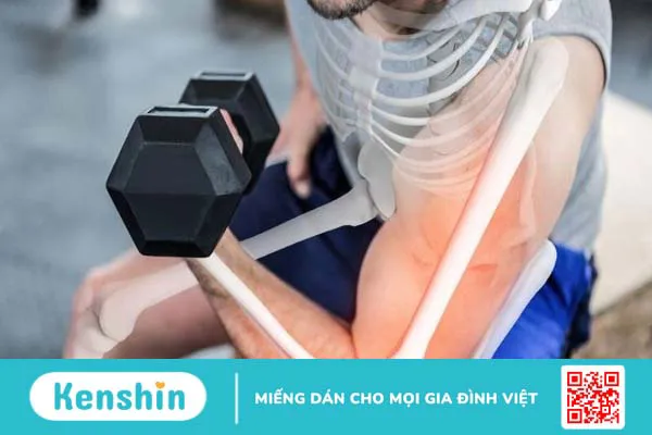 17 tác dụng của yến sào sau đây với sức khỏe có thể bạn chưa biết