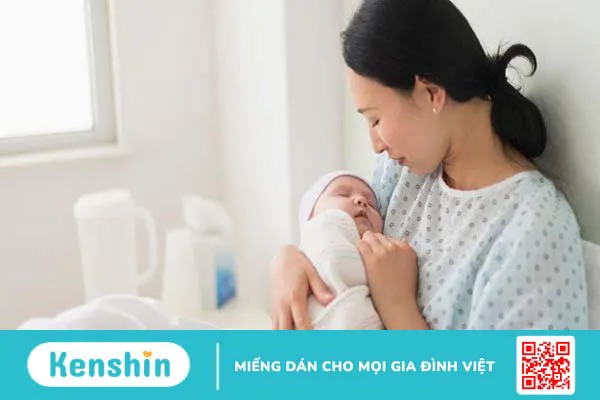 17 tác dụng của yến sào sau đây với sức khỏe có thể bạn chưa biết