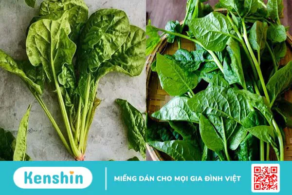 20 thực phẩm tăng cường ham muốn sinh lý nữ chuyên gia gợi ý