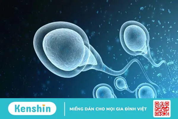 21 cách trị tinh trùng loãng tại nhà an toàn, hiệu quả