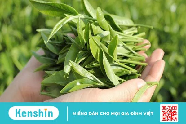 24 Cách trị hôi miệng tận gốc tại nhà đơn giản, hiệu quả