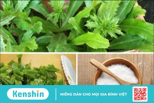 24 Cách trị hôi miệng tận gốc tại nhà đơn giản, hiệu quả