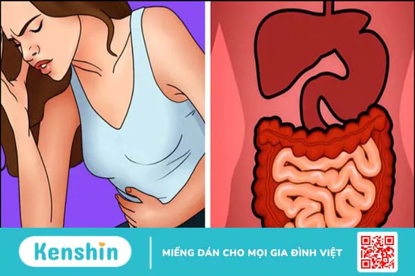 25 cách trị táo bón tại nhà vào ngày lễ và các lưu ý khi bị táo bón