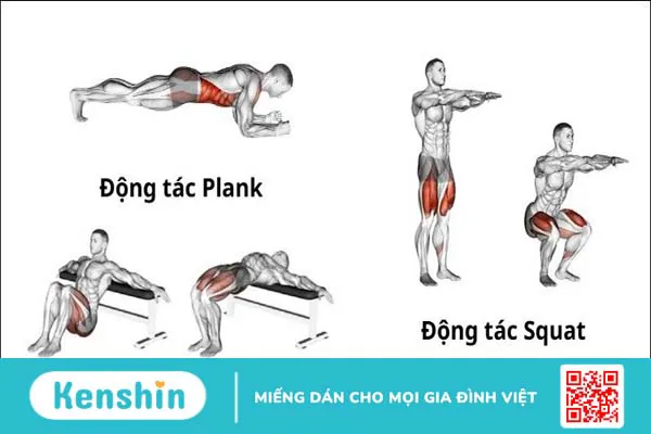 3 bài tập điều trị rối loạn cương dương phái nam nên biết