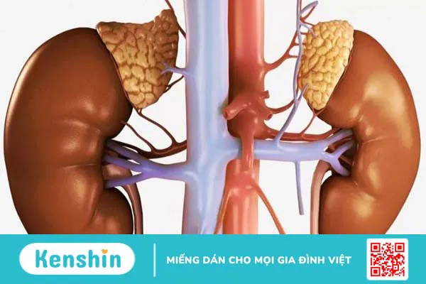 4 tác hại của nước dâu tằm khi dùng nhiều – Lưu ý ăn dâu tằm bạn cần biết