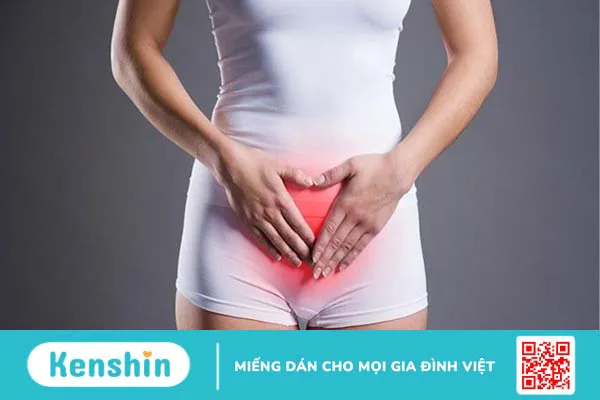 4 triệu chứng viêm đường tiết niệu giúp bạn nhận biết bệnh chính xác