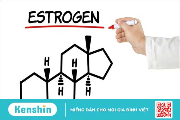 5 cách trị rụng tóc sau sinh an toàn, hiệu quả cho mẹ bỉm sữa