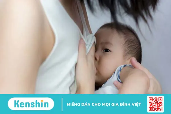 5 cách trị rụng tóc sau sinh an toàn, hiệu quả cho mẹ bỉm sữa