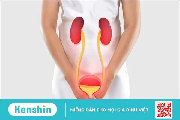 5 nguyên nhân nhiễm trùng máu phổ biến bạn nên biết