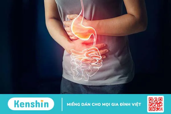 6 bài thuốc từ long nhãn – cách dùng long nhãn tốt cho sức khỏe