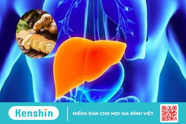 6 cách nấu nước chanh sả gừng giải độc gan tại nhà đơn giản, hiệu quả