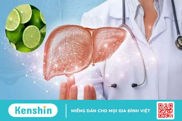 6 cách nấu nước chanh sả gừng giải độc gan tại nhà đơn giản, hiệu quả