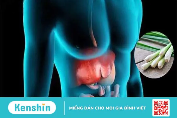 6 cách nấu nước chanh sả gừng giải độc gan tại nhà đơn giản, hiệu quả