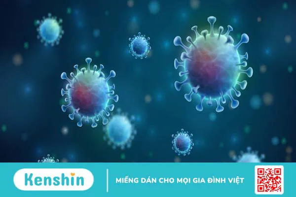 6 cách trị cảm cúm tại nhà đơn giản, an toàn bạn nên biết