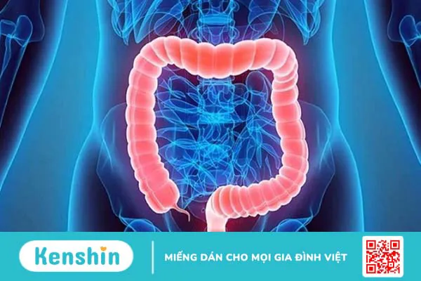 6 công dụng của thuốc Phosphalugel và lưu ý khi sử dụng Phosphalugel